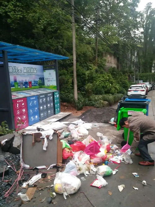 桐廬城區(qū)生活小區(qū)垃圾分類現(xiàn)狀與城市生活垃圾經(jīng)營(yíng)服務(wù)探析