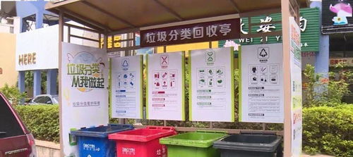 行動起來，實施垃圾分類，讓城市環境更美麗